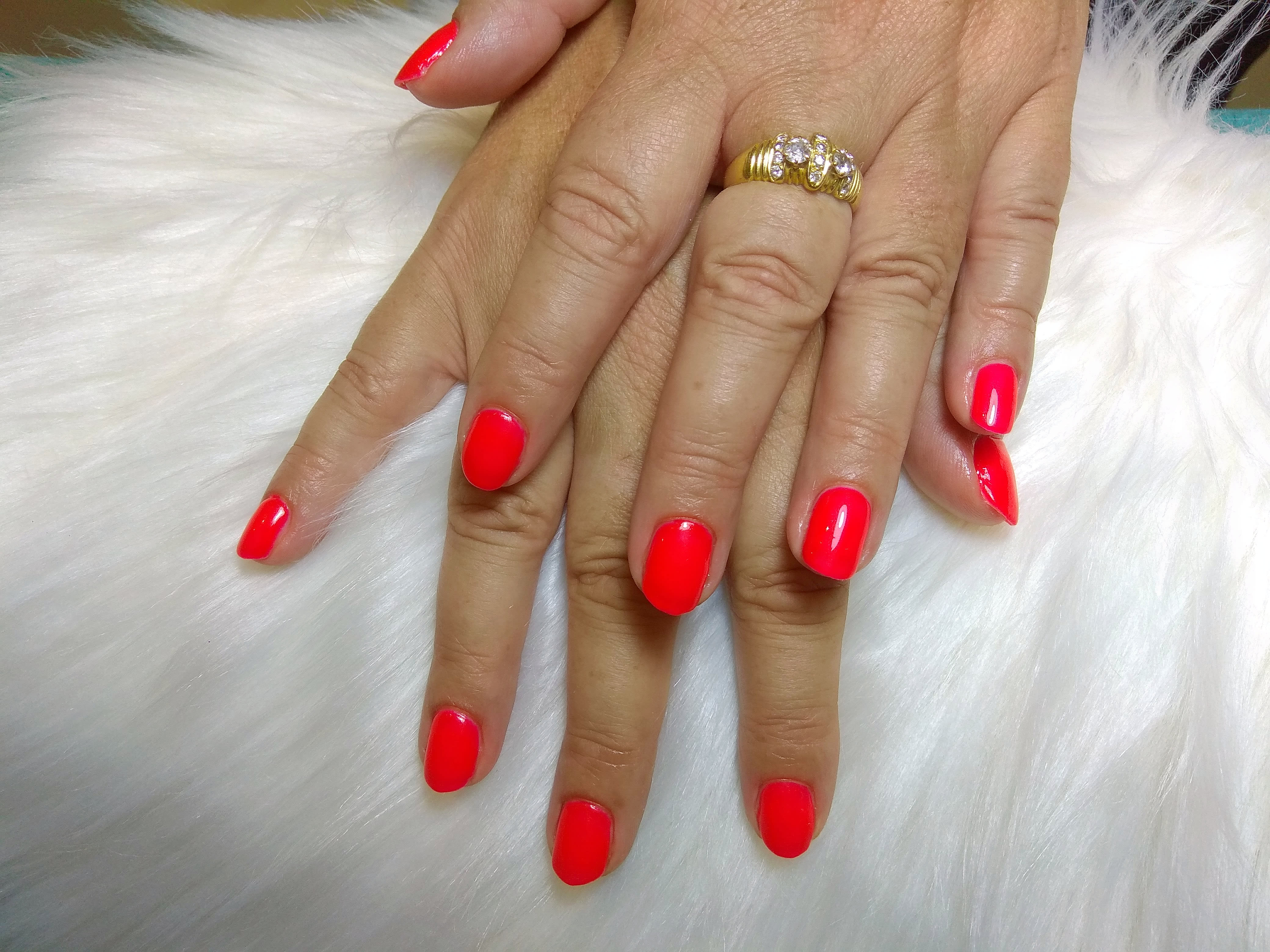 Atelier de beauté CR - Sourcils & cils Nice - Atelier de beauté CR - Photo Galerie - OneBooking
