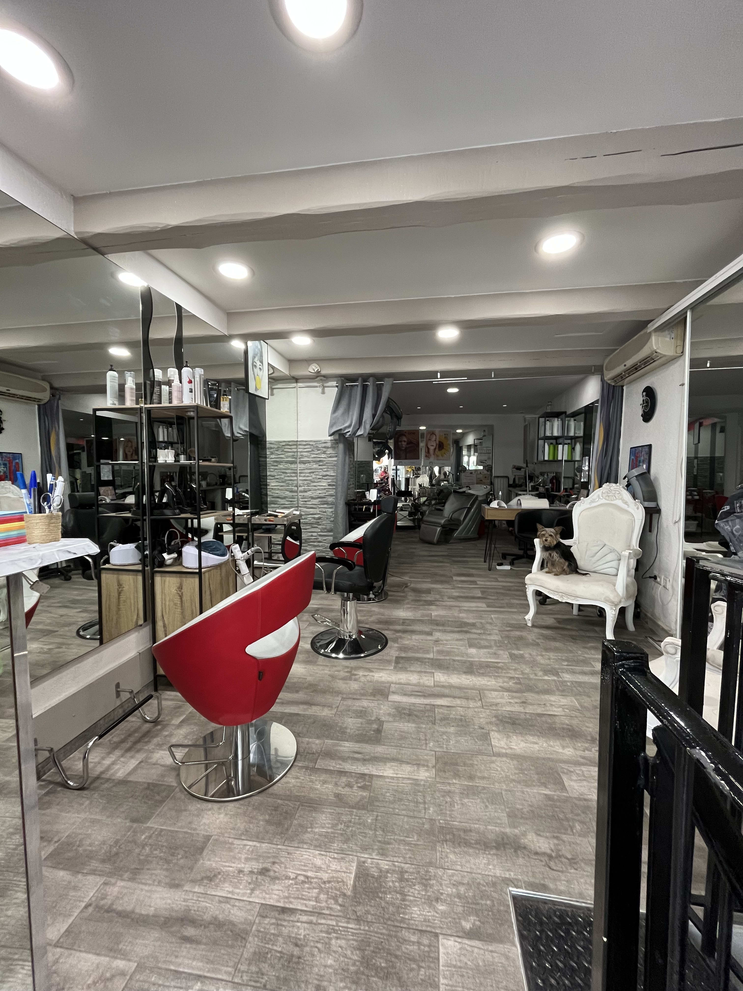 Betty Coop - Coiffure Le Luc - Betty Coop - Photo Galerie - OneBooking