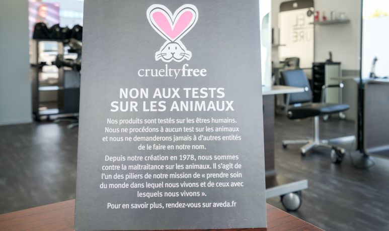 Excel Coiffure Carcassonne Pont Rouge Coiffeur A Carcassonne