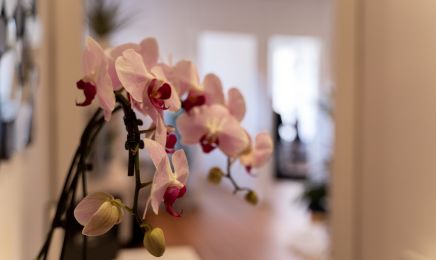 Esthebeauty - Bordeaux (anciennement estheclinic) : Coiffeur à Bordeaux