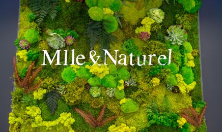 Mlle et naturel : Coiffeur à Orléans