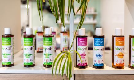 Concept nature  : Coiffeur à Saint-Jean-le-Vieux