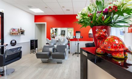 Les Ciseaux de Pauline  : Coiffeur à Vougy