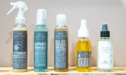 Pur Végétal - Coiffeur au naturel : Coiffeur à Igny