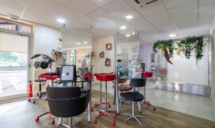 Institut Capillaire Angel´A Curcio  : Coiffeur à Pierrefeu-du-Var
