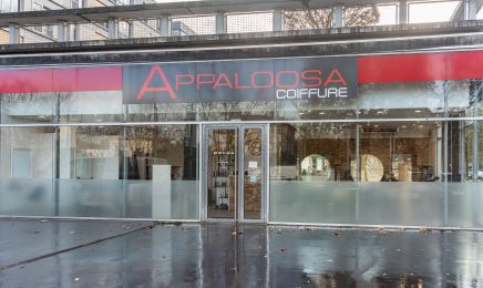 Appaloosa Nancy  : Coiffeur à Nancy
