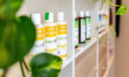 Concept nature  : Coiffeur à Saint-Jean-le-Vieux