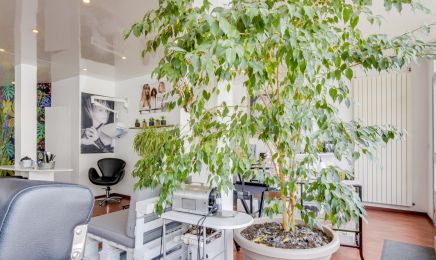 Le Salon - Victor Hugo : Coiffeur à Le Havre