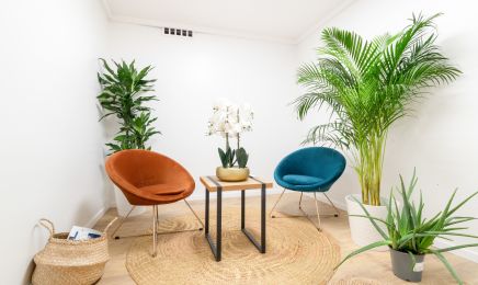 Salon Concept Nature : Coiffeur à Saint-Palais