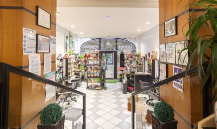 Concept BIO HAIR PUNCH  : Coiffeur à Périgueux
