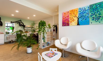 Concept nature  : Coiffeur à Saint-Jean-le-Vieux