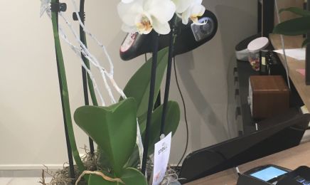 Salon Roosevelt  : Coiffeur à Dijon