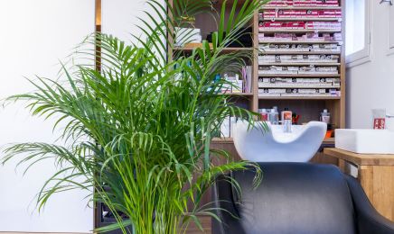 Parenthèse : Coiffeur à Pleucadeuc