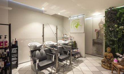Concept BIO HAIR PUNCH  : Coiffeur à Périgueux