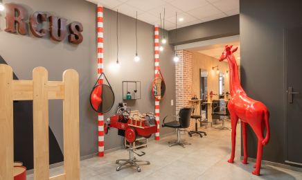Violine - Coiffeur Coloriste : Coiffeur à Maulevrier