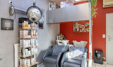 Isatifs  : Coiffeur à Amancy