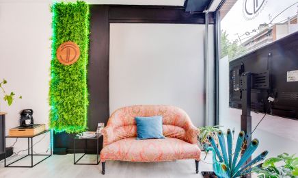 Dermo Jaeva : Coiffeur à Toulouse