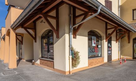 Isatifs  : Coiffeur à Amancy