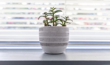 Arbréa Zen - Masseur malvoyant : Institut de beauté à Rennes