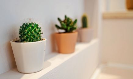 Sueños Beauté: Kosmetikstudio in München