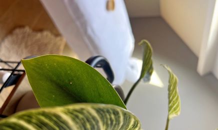 Be&Be institut : Institut de beauté à Manage