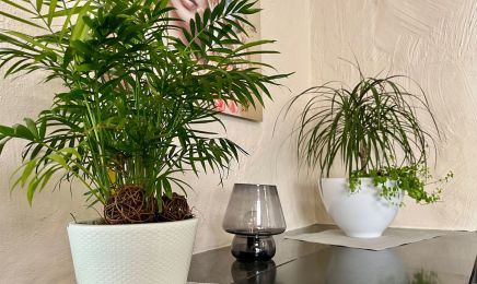 Friseur Zeitlos: Friseur in Osnabrück