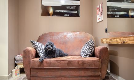 Le Boudoir de Sandrine : Coiffeur à Saint-Jean-de-Verges