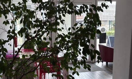 BEALTE : Coiffeur à Bordeaux