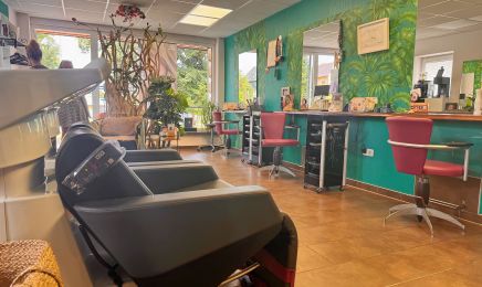 Hairllywood: Friseur in Seelingstädt
