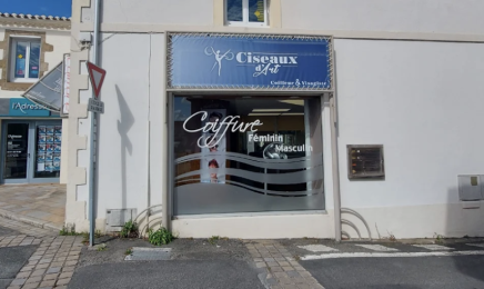 Ciseaux d'art : Coiffeur à Beauvoir-sur-Mer