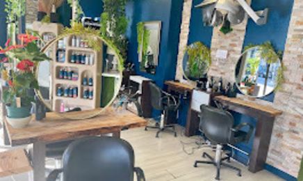 David Camino coiffeur by Lena : Coiffeur à Bordeaux