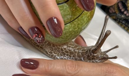 La beauté de Venus 92 : Manucure à Châtenay-Malabry