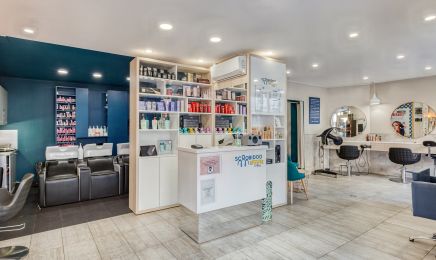 Scoobidoo Family : Coiffeur à Versailles