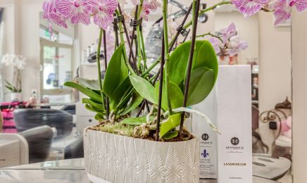 Paradyse beauty : Coiffeur à Menton