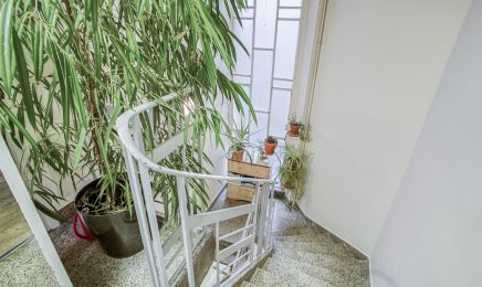 Coupe douce  : Barbier à Houilles