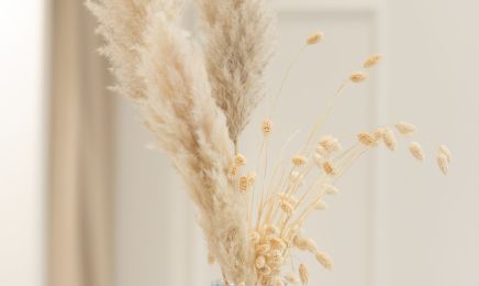 Quintesens Haute Coiffure  : Coiffeur à La Teste-de-Buch