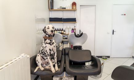 L'atelier de Mathilde - V : Coiffeur à Vertou