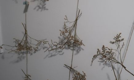 L'Atelier de Christophe : Coiffeur à Talence