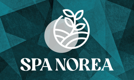 Sourceane Spa Norea : Spa à Sin-le-Noble