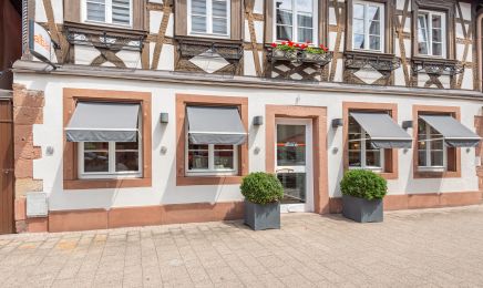 Camille Albane - Wissembourg : Coiffeur à Wissembourg