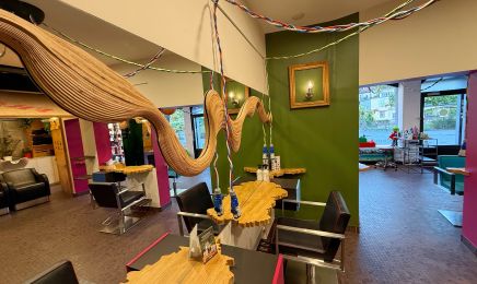 Vue Sur L'ill : Coiffeur à Strasbourg