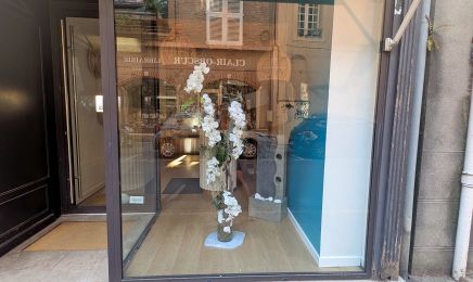 Massage Orchidée Blanche : Institut de beauté à Albi