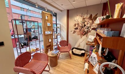 Stephan - Toulouse Lombez : Coiffeur à Toulouse