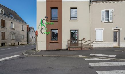 A chacun sa coupe  : Coiffeur à chemille
