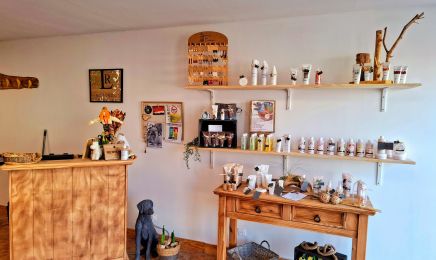 LR Naturel : Coiffeur à Damvix