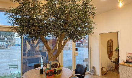 COIFFURE Ô NATUREL - Saint-Cyr : Coiffeur à Saint-Cyr-sur-Mer