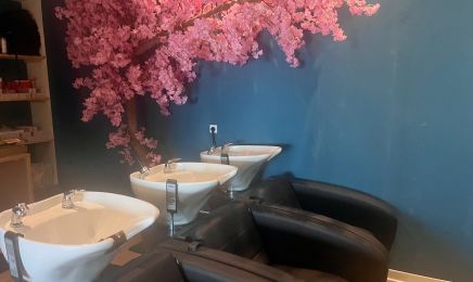 Ô Cœur de l’Âme : Coiffeur à Palaminy