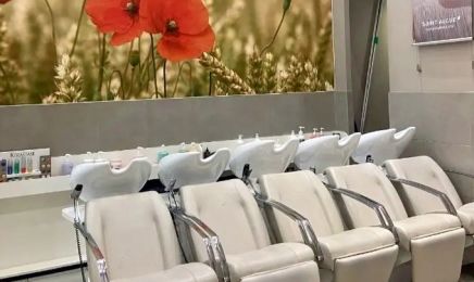 Saint Algue - Roissy-en-France : Coiffeur à Roissy-en-France
