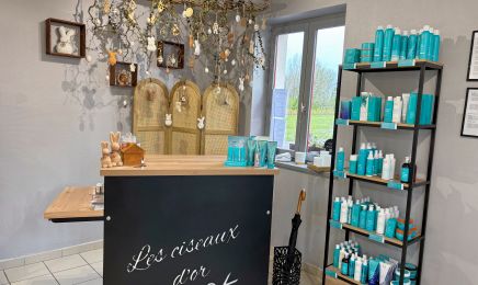 Les ciseaux d'or : Coiffeur à Écuires