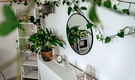 Beauty Factory: Kosmetikstudio in Passau